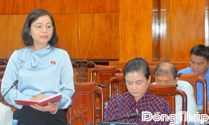 Đại biểu Nguyễn Thanh Cầm, Đoàn ĐBQH tỉnh Đồng Tháp phát biểu tại buổi làm việc.