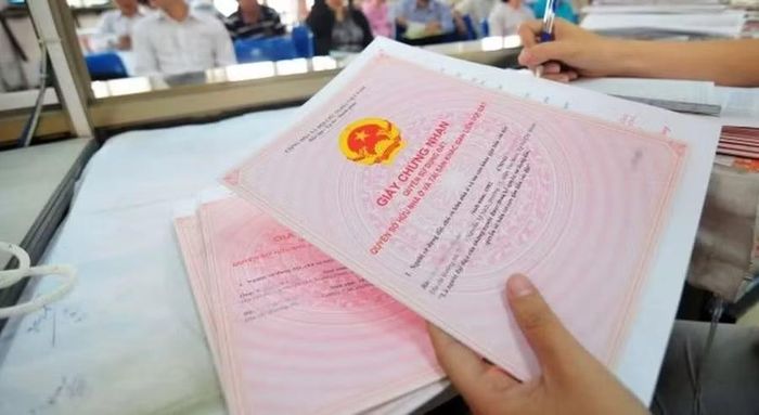 Đề xuất bắt buộc ghi đầy đủ tên của tất cả những người có chung quyền sử dụng đất trên sổ đỏ. Ảnh minh họa