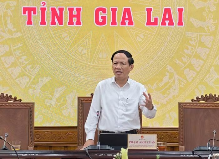 Chủ tịch UBND tỉnh Phạm Anh Tuấn phát biểu kết luận buổi làm việc. Ảnh: Dũng Nhân