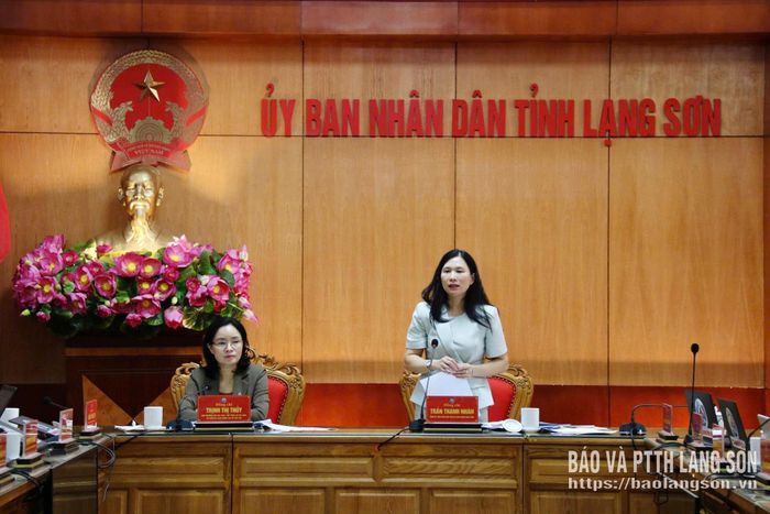 Đồng chí Trần Thanh Nhàn, Phó Chủ tịch UBND tỉnh phát biểu tại buổi làm việc