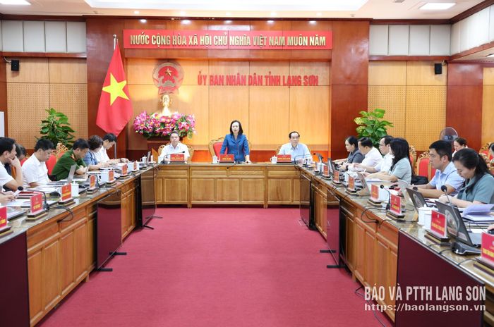Đồng chí Đoàn Thị Hậu, Phó Bí thư Tỉnh ủy, Chủ tịch HĐND tỉnh, Trưởng đoàn giám sát phát biểu kết luận