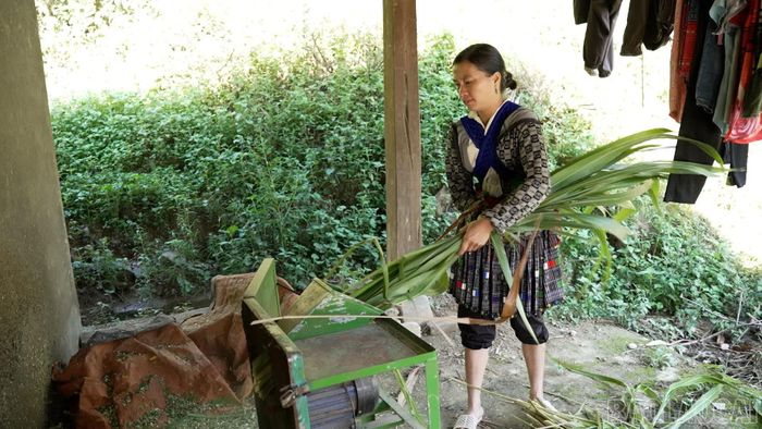 Phụ nữ xã Phình Hồ chủ động chế biến thức ăn, nâng cao hiệu quả chăn nuôi.