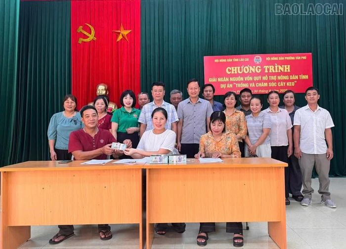 Quỹ Hỗ trợ nông dân tỉnh giải ngân vốn thực hiện dự án “Trồng và chăm sóc cây keo” tại phường Văn Phú.