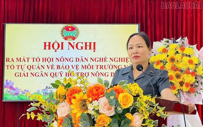 Bà Nguyễn Thị Phương Đông - Phó Chủ tịch Hội Nông dân tỉnh phát biểu tại buổi ra mắt Tổ hội Nông dân nghề nghiệp xã Bảo Ái.