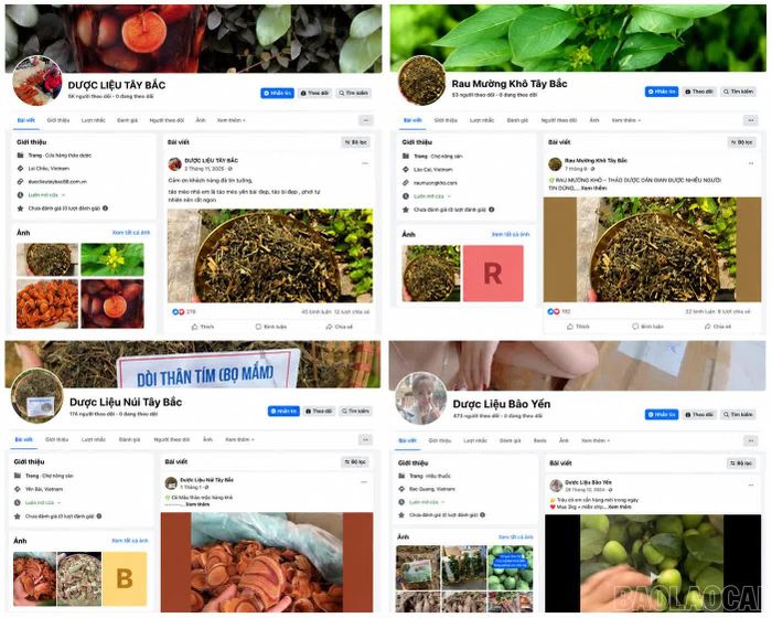 Các tài khoản facebook Ngô Bá Mạnh sử dụng để kinh doanh các mặt hàng thảo mộc.