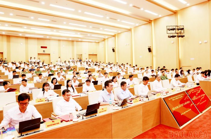 Đại biểu dự hội nghị.