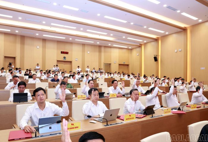 Đại biểu biểu quyết nội dung hội nghị.