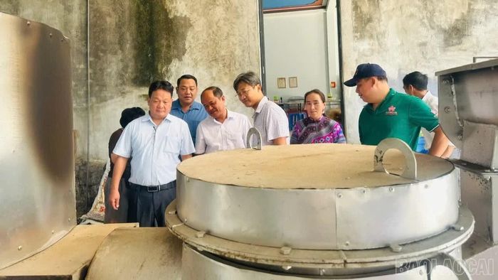 Đoàn công tác khảo sát quy trình vận hành thiết bị sơ chế, chế biến sa nhân, thảo quả tại xã Sín Chéng.