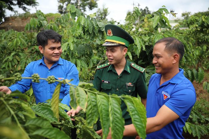 Lực lượng bộ đội biên phòng đứng chân trên địa bàn xã Thuận An thường xuyên phối hợp tuyên truyền, vận động đoàn viên, thanh niên trong xã chú trọng phát triển kinh tế, nâng cao ý thức bảo vệ chủ quyền và an ninh khu vực biên giới