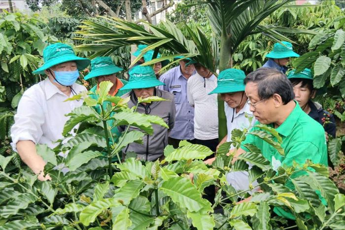 Người dân xã Nam Nung tham gia mô hình bảo hiểm lượng mưa số hóa 100% triển khai thí điểm từ đầu năm 2025