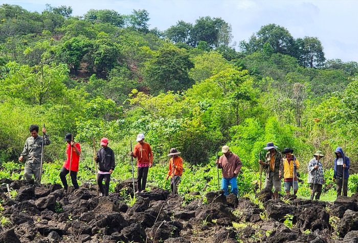 Cuối tháng 5, đầu tháng 6, những cơn mưa đầu mùa xuất hiện, người dân ở Nam Đà sẽ cùng nhau xuống giống, bắt đầu cho mùa bắp mới