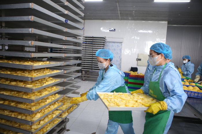 Doanh nghiệp cần chuẩn hóa dữ liệu từ sản xuất, vùng trồng đến chế biến, đóng gói và từng lô hàng