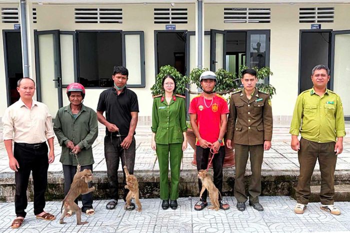 Gia đình ông Rơ Yam Ha Long bàn giao các cá thể khỉ cho đơn vị chức năng xã Đam Rông 3 và lực lượng kiểm lâm khu vực Đam Rông. (Ảnh: Cộng tác viên)