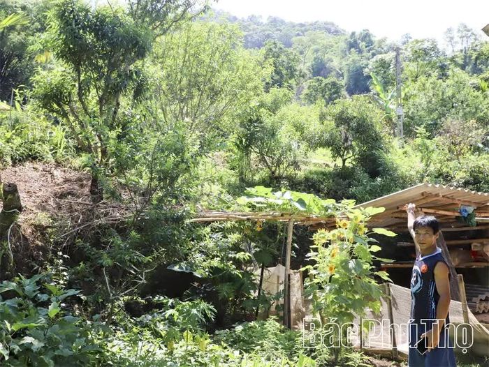 Anh Bùi Văn Liến ở thôn Cạn Thượng chỉ rõ nguy cơ sạt lở ngay phía sau ngôi nhà của gia đình.