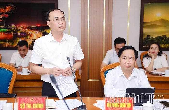 Lãnh đạo Sở Tài chính phát biểu tại hội nghị.
