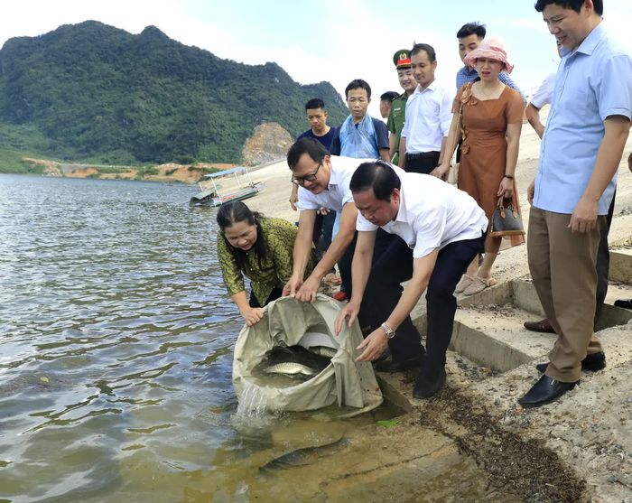 Thả cá giống vào lòng hồ Cánh Tạng, mở ra hướng phát triển sinh kế gắn với mặt nước.