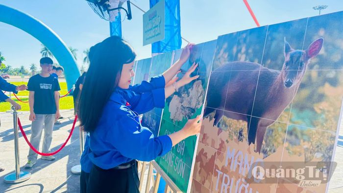 Đoàn viên, thanh niên tham quan triển lãm ảnh về động vật hoang dã và tham gia các trò chơi nhận diện loài, ghép các bộ phận động vật - Ảnh: B.N