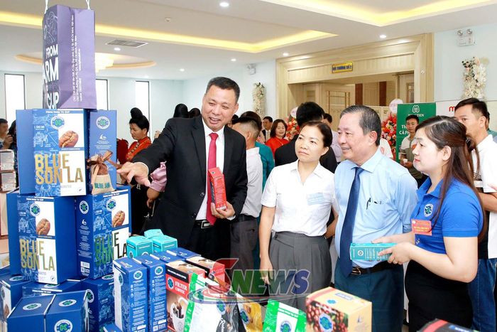 Lãnh đạo tỉnh giới thiệu, quảng bá về cà phê Phúc Sinh Sơn La