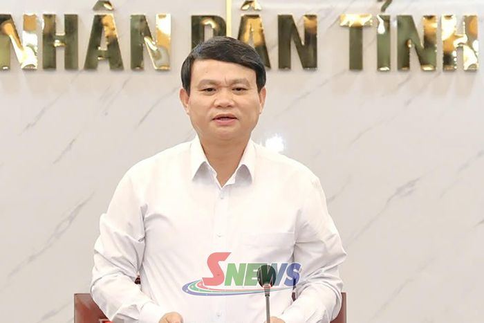 Đồng chí Đặng Ngọc Hậu, Phó Chủ tịch UBND tỉnh, phát biểu kết luận cuộc làm việc.