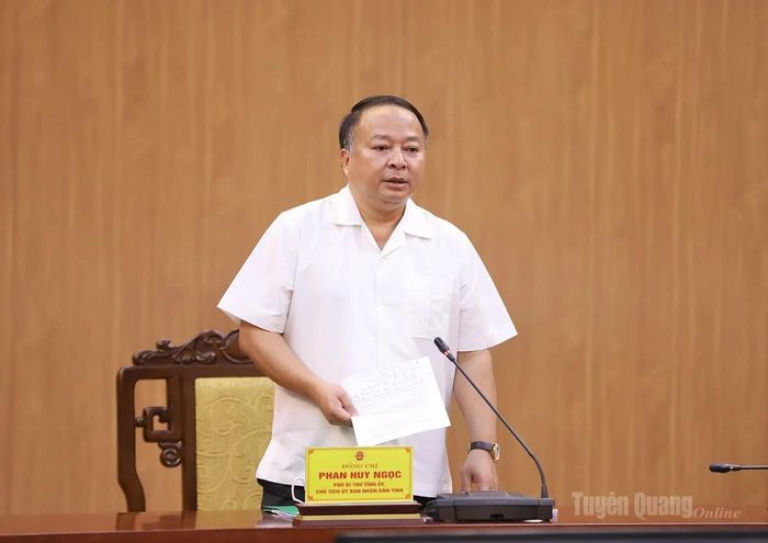 Chủ tịch UBND tỉnh Phan Huy Ngọc kết luận cuộc họp.