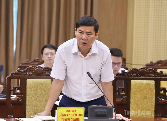 Đại diện Công ty Điện lực Tuyên Quang nêu thuận lợi, khó khăn trong công tác bàn giao các công trình điện.
