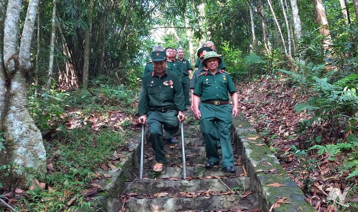 Các cựu chiến binh thăm rừng Khuôn Mánh.