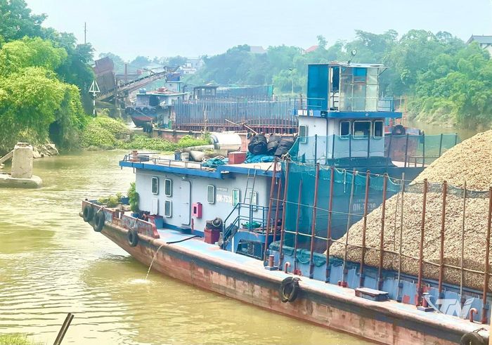 Dăm gỗ là một trong những mặt hàng chủ lực của Công ty TNHH Sản xuất và Thương mại Quốc Việt.
