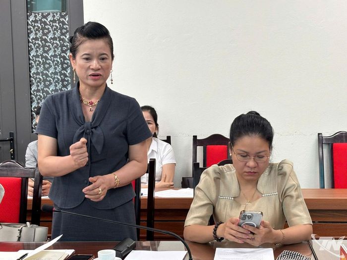 Đại biểu đóng góp ý kiến.