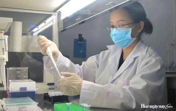 Sinh viên Trường ĐH Nông lâm, ĐH Huế tham gia nghiên cứu khoa học. Ảnh: H.Triều