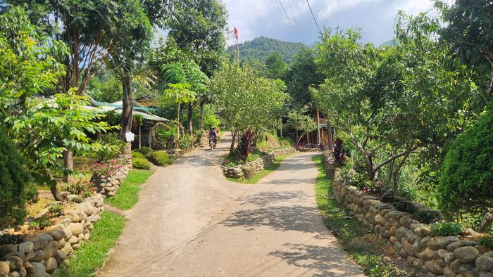 Du khách có thể thưởng thức những món ăn truyền thống, tham quan các gia đình làm nghề thủ công, tìm hiểu trang phục Mông, nghe nhạc cụ dân tộc hoặc mua những sản vật đặc trưng như mật ong rừng, chè cổ thụ, thổ cẩm.