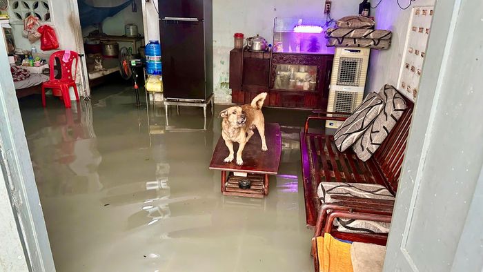 Cùng với mưa triều cường cũng dâng cao ảnh hưởng đến người dân ven sông.