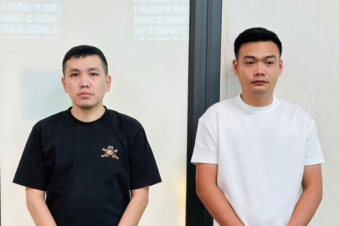 Võ Đại Trường Lâm và Lê Trọng Hải Anh bị khởi tố về hành vi lừa đảo chiếm đoạt tài sản (Ảnh: CATH).