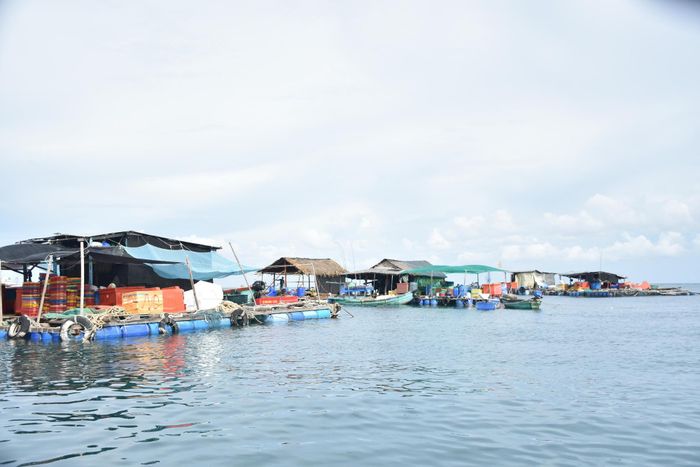 Nghề nuôi cá lồng bè trên biển ở đặc khu Thổ Châu, tỉnh An Giang.