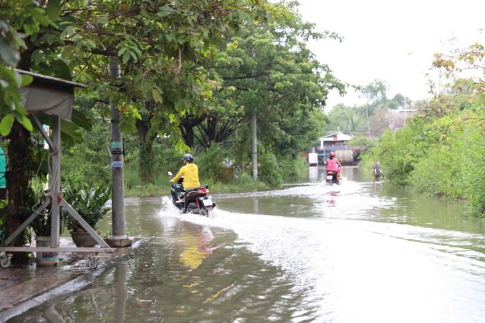 Trong những ngày triều tiếp tục duy trì ở mức cao, người dân tại các khu vực thấp trũng, ven sông, kênh rạch được khuyến cáo chủ động theo dõi tình hình, lựa chọn lộ trình phù hợp, đặc biệt trong các khung giờ triều đạt đỉnh.