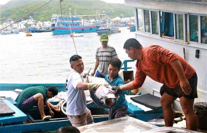 Tàu cập cảng Hòn Rớ, ngư dân hối hả bốc dỡ thuỷ hải sản lên bờ.