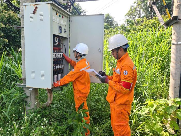 Cán bộ kỹ thuật Điện lực Tam Đảo (Phú Thọ) kiểm tra hệ thống lưới điện đảm bảo cấp điện an toàn, ổn định.