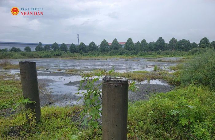 UBND TP. Hồ Chí Minh giao các đơn vị liên quan trước khi cho thuê phải rà soát tình trạng pháp lý của từng khu đất. Ảnh: Quang Phương