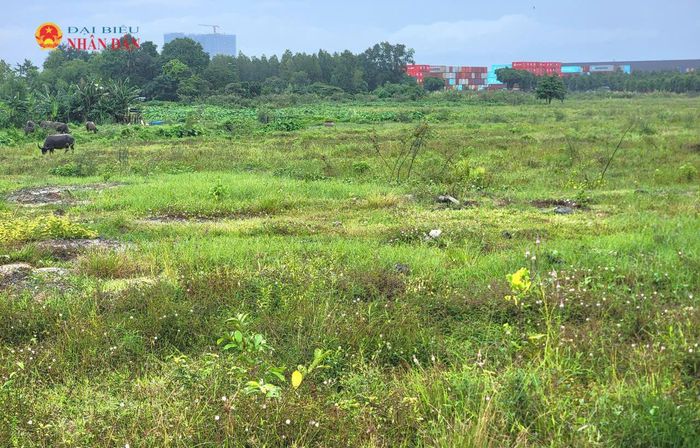Một khu đất trống dọc tuyến đường Mỹ Phước - Tân Vạn, địa bàn phường Đông Hòa. Ảnh: Quang Phương (ảnh chỉ mang tính minh họa)