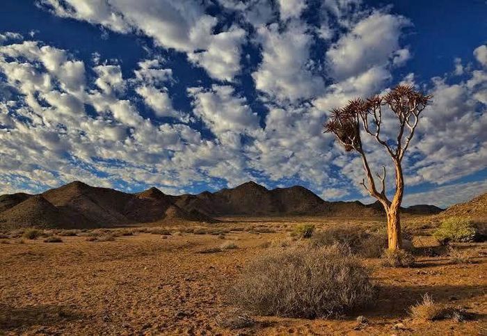 Nguồn: climatescorecard
