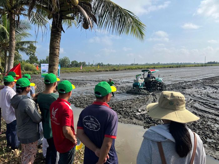 Mô hình canh tác chính xác kỳ vọng giúp nông dân HTX Hòa Phát tối ưu chi phí phân bón, nâng cao năng suất lúa và cải tạo nền đất cho vụ tôm tiếp theo. Ảnh: Phan Tâm