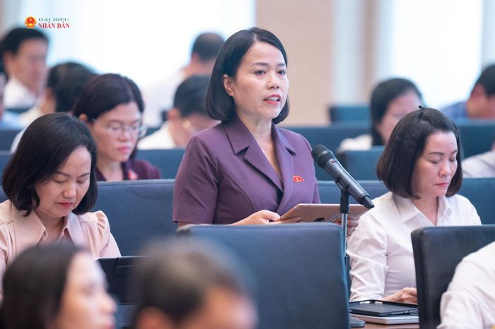 ĐBQH Lý Thị Lan (Tuyên Quang) phát biểu