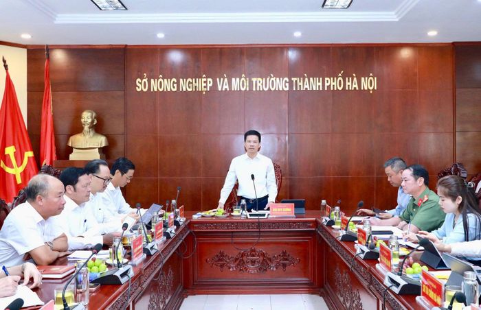 Phó Chủ tịch UBND thành phố Hà Nội Bùi Duy Cường chủ trì cuộc làm việc với Sở Nông nghiệp và Môi trường. Ảnh: Tùng Nguyễn.