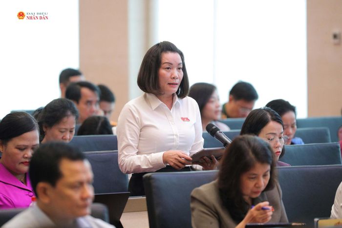 ĐBQH Nguyễn Minh Tâm (Quảng Trị) phát biểu. Ảnh: Hồ Long