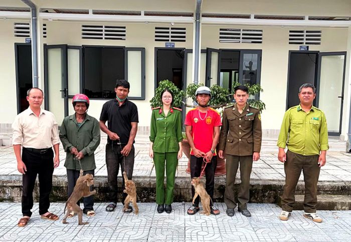 Công an xã Đam Rông 3 phối hợp với các lực lượng liên quan tiếp nhận các cá thể khỉ.