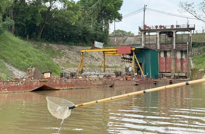 Do khu vực này có nhiều cá về tụ lại nên nhiều người sử dụng kích điện đến quần thảo với hy vọng săn được “hàng khủng”.
