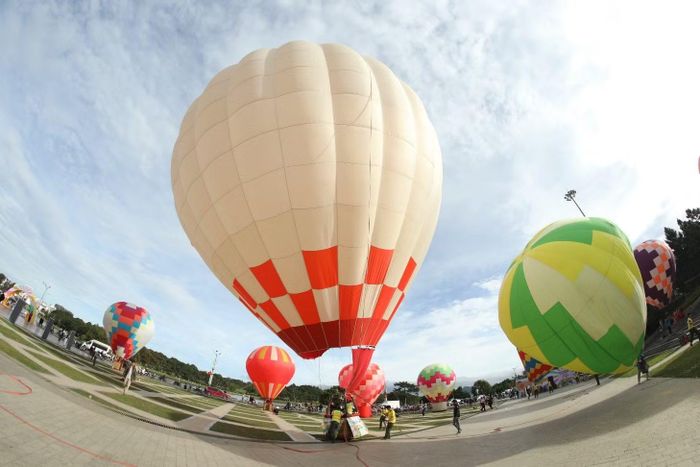 Lâm Đồng triển khai chuỗi hoạt động hưởng ứng “Ngày Văn hóa Việt Nam” năm 2026.