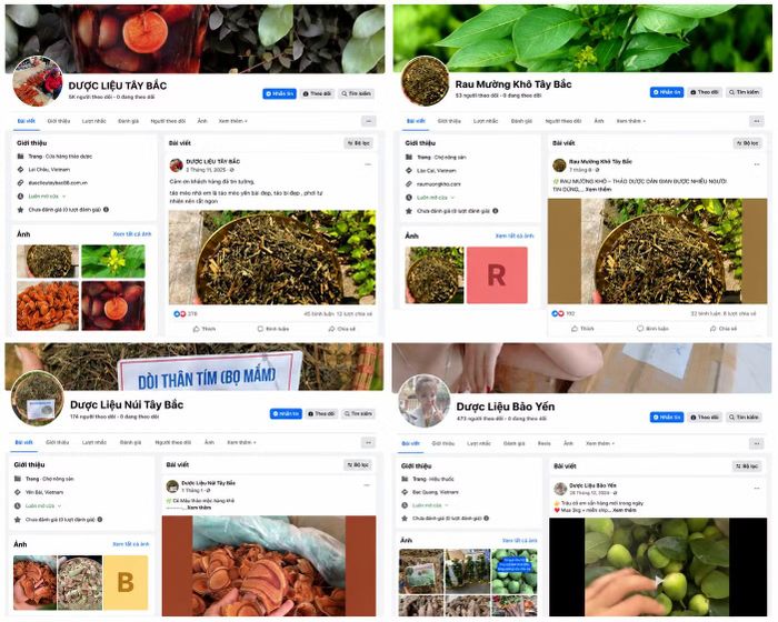 Các tài khoản Facebook mà Ngô Bá Mạnh sử dụng để Mạnh kinh doanh các mặt hàng thảo mộc.