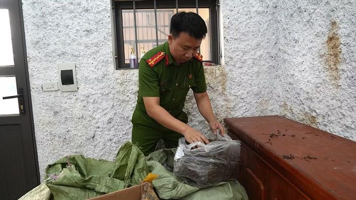 Lực lượng chức năng thu giữ tang vật là các sản phẩm “Quả Trâu cổ khô”, “Dòi thân tím (Bọ mắm)” và “Rau mương khô”.