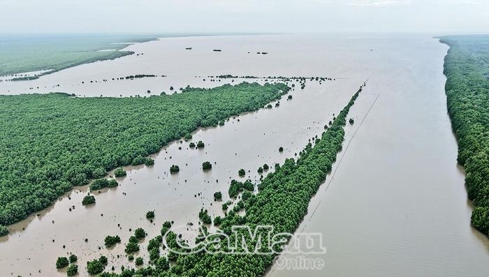Sông Bảy Háp là tuyến chính dẫn phù sa, âm thầm bồi đắp bờ Tây, gây rừng lấn biển.