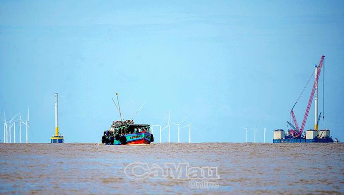 Tàu cá hoạt động tại cửa biển Gành Hào.